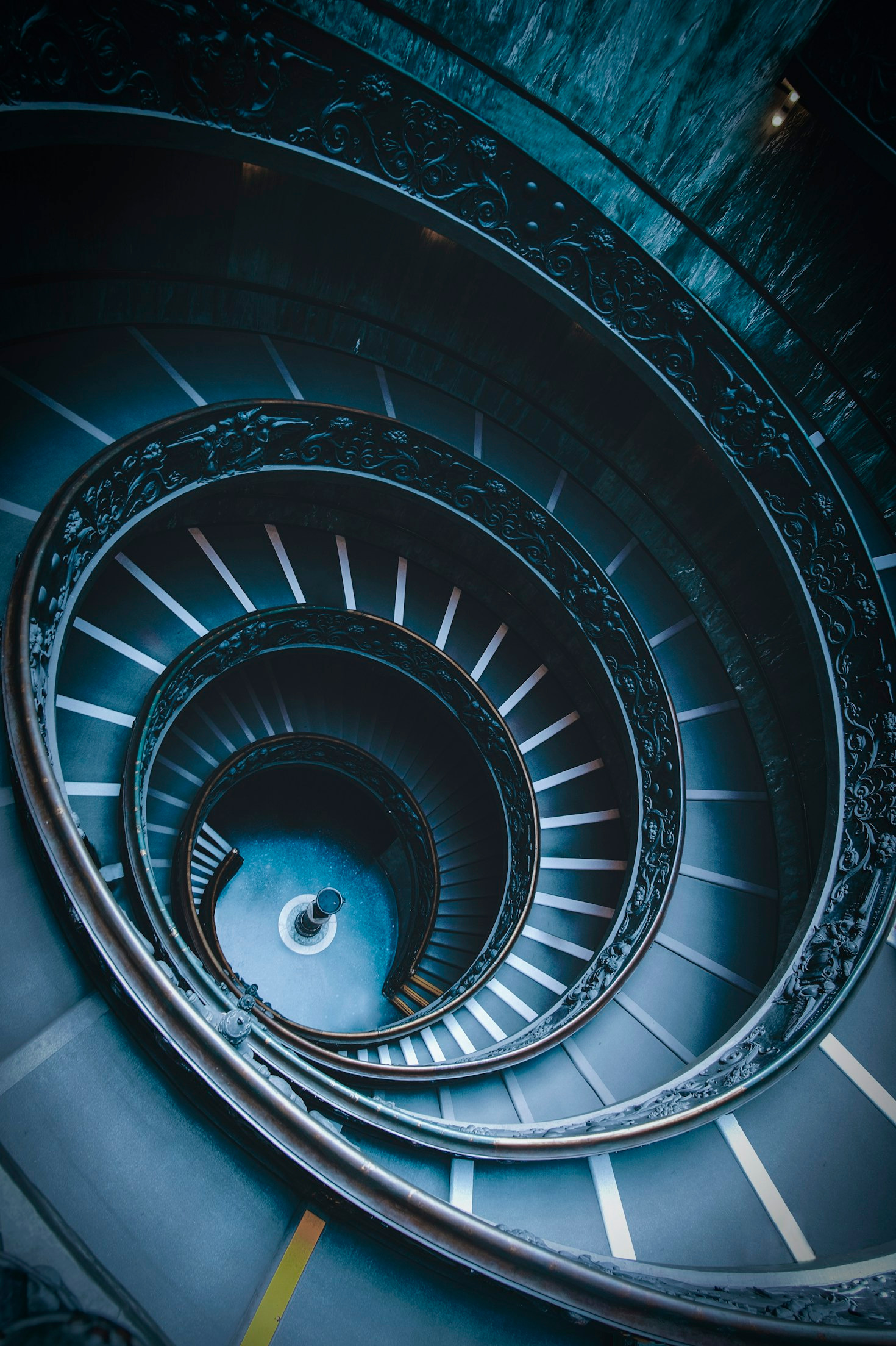 Nature’s Beauty Through the Lens of the Golden Ratio