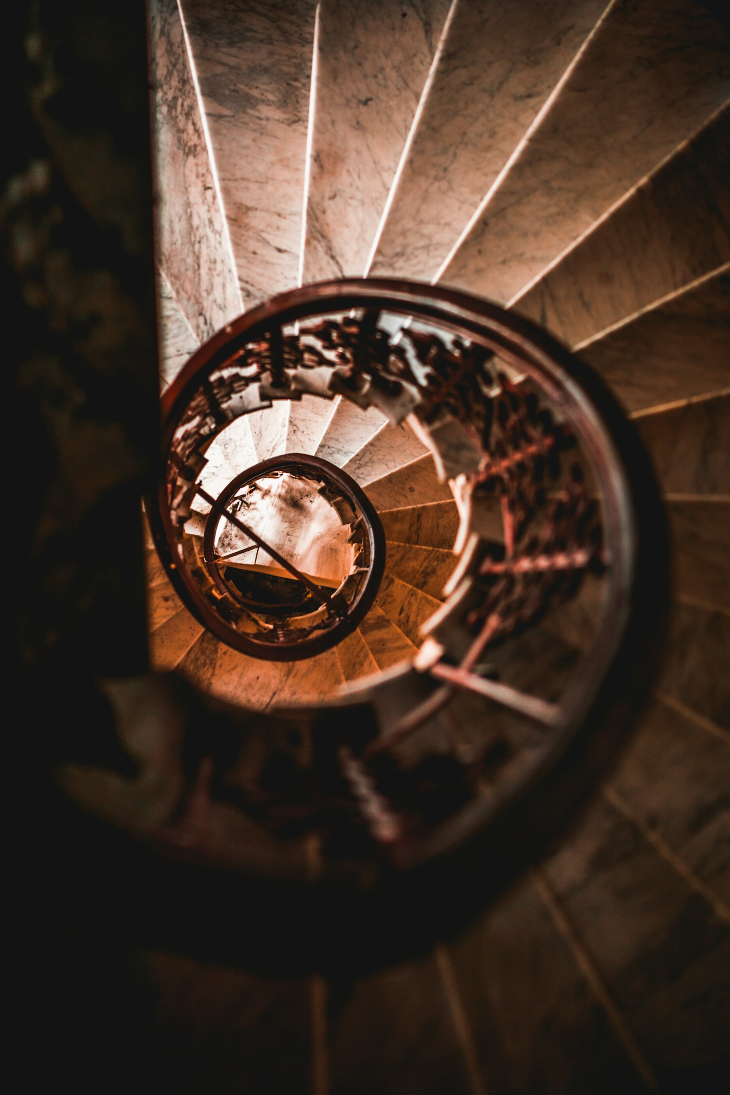 Why the Golden Ratio Continues to Inspire Creators